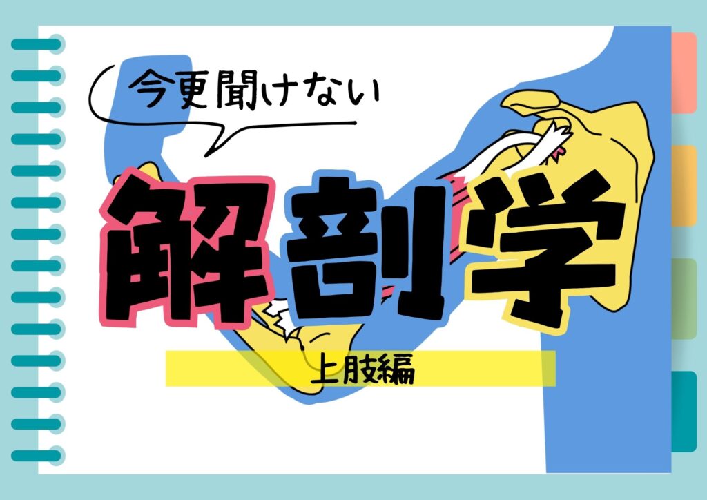 SBC東京医療大学✕NSCAジャパン共同セミナー「今さら聞けない解剖学（上肢編）」開催しました